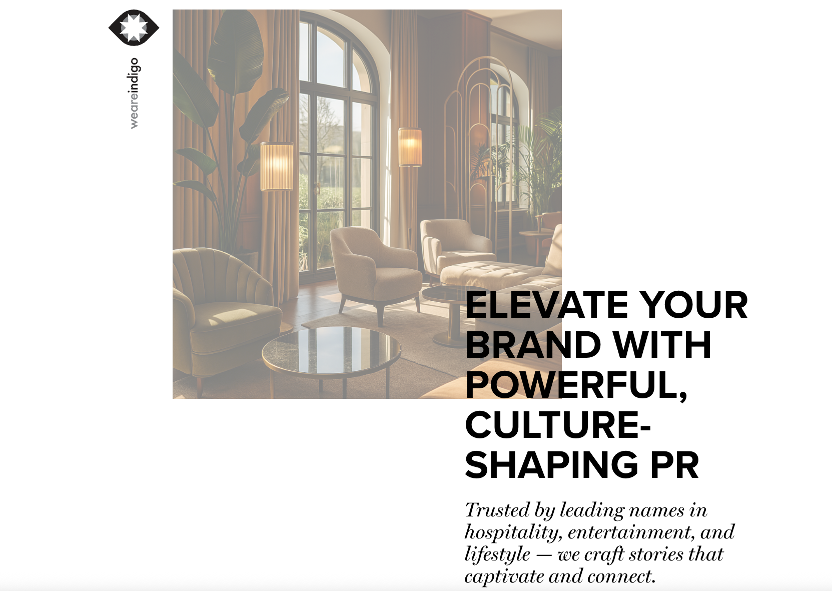 We Are Indigo case study